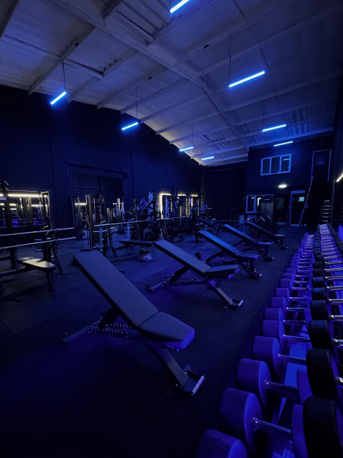 The dumbbell rack running along a dark wall