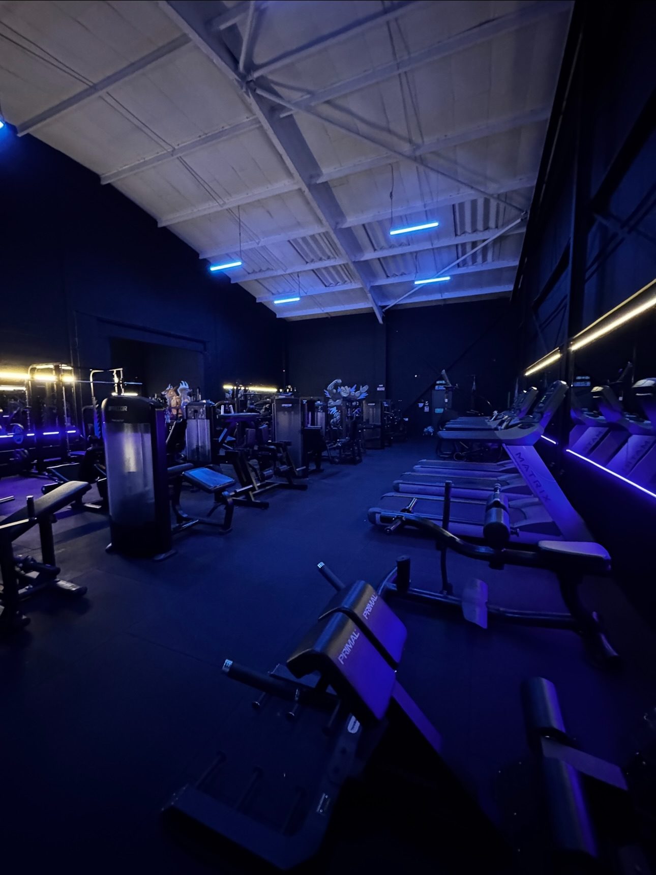 Benches lined up beneath blue LED strips